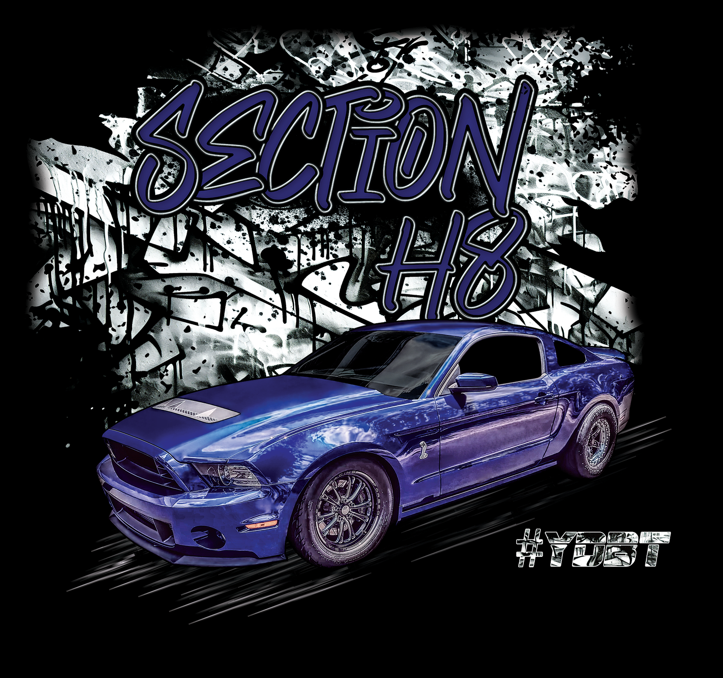 Section H8 - Adult Hooded Sweatshirt